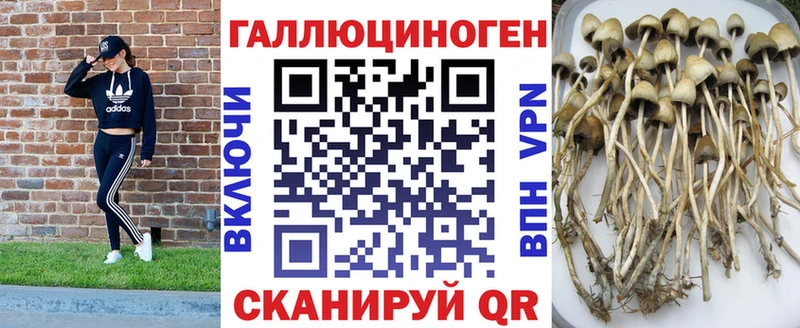 Галлюциногенные грибы мицелий  Купить закладки  Куртамыш 
